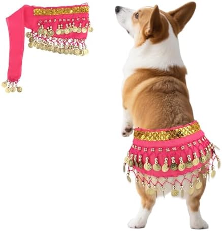 Dog Belly Dancer Skirt, Bling Belly Dance Hip Scarf for Corgis Dog by Unknown