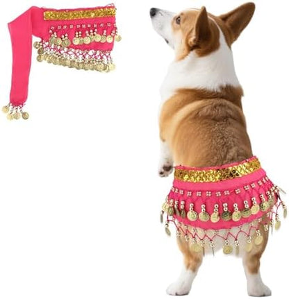 Dog Belly Dancer Skirt, Bling Belly Dance Hip Scarf for Corgis Dog by Unknown