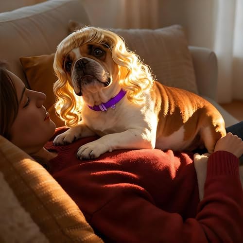 Dog Wig Costume with Adjustable Elastic Band for Small, Medium, Large Pets - Image 5