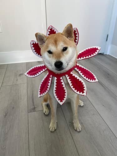 ComfyCamper Red Flower Dog Costume - X Large Medium Small French Lab Retriever Shepherd Pet Cosplay Halloween Costumes (Large) - Image 5