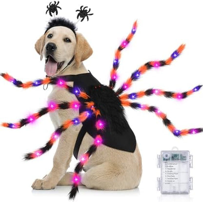 JaGely 2 Pcs Halloween Spider Dog Costume with LED Headband Body, Orange by JaGely