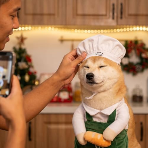 Cat Dog Chef Hat & Apron Set with Bread Fits 3-99 lbs (Chef Set,B5) - Image 6