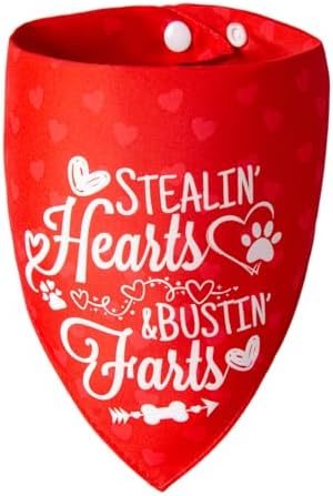 Reversible Dog Bandanas for Valentine's Day - Cute Lettering & Heart Pattern 2-in-1 Holiday Costume Pet Scarf, 1pack Snap Button Bandana for Medium & Large Breed (30-75lbs) by ICEMOOD
