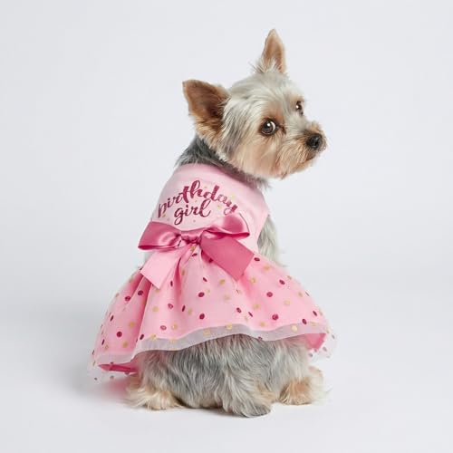 Fitwarm Birthday Girl Dog Tulle Dress, Dog Clothes for Small Dogs Girl, Chihuahua Apparel, Pink, X-Small - Image 4