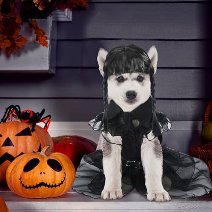 Coume 3 Pcs Halloween Dog Costumes for Dog with Belt and Wig, M - Image 6