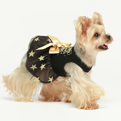 Fitwarm Happy New Year Dog Dress, Sparkly Dog Clothes for Small Dogs Girl, Holiday Pet Tutu Dress, Cat Outfit, Black, Gold, Small - Image 2