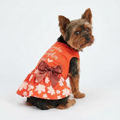 Fitwarm Thanksgiving Sweeter Than Pumpkin Pie Dog Dress 100% Cotton Puppy Costumes Pet Clothes Holiday Girl One-Piece Doggy Outfits Tank Top Vest Dresses Cat Apparel Orange XXS - Image 2