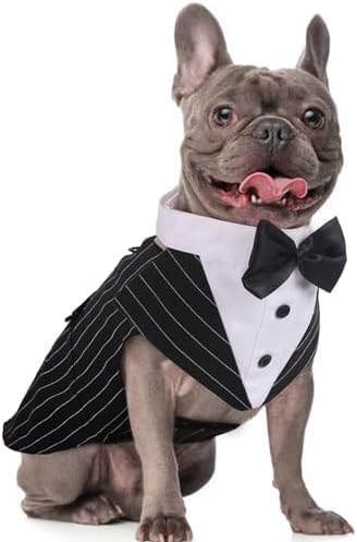 Dog Tuxedo for Medium Dogs, Dog Suit and Bandana Set, Dog Costume Outfit by DoraBridal