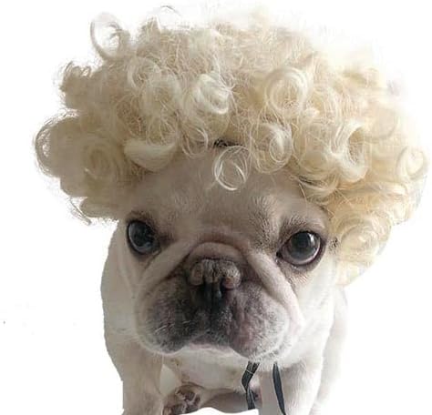Funny Pet Wig – DIY Haircut & Adjustable Fit – Cat & Dog Costume for Halloween, Party, Photo Shoots – 3D Natural Look – Fits 5kg-50kg Pets - Image 6