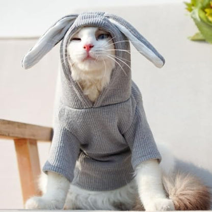ANIAC Pet Hoodie Cat Rabbit Outfit with Bunny Ears Cute Sweatshirt Spring and Autumn Puppy Knitted Sweater Kitty Soft Knitwear (XXL-Large, Grey) - Image 4