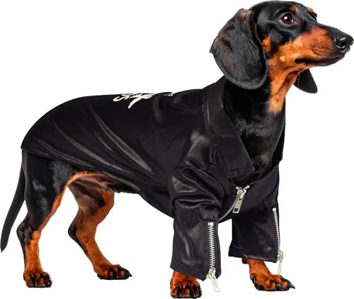Rubies at Party City Grease: T-Birds Pet Costume for for Dogs or Cats, Large - Image 5