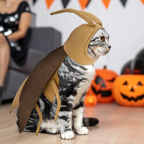 Halloween Puppy Cat Costume Dog Cockroach Shaped Outfits Pet Festival Cosplay Apparel for Small Dogs Cats - Image 5