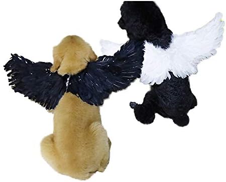 WeeH Pet Halloween Costume Cosplay Angel Devil Black White Wing for Dog Cat Rabbit Piggy - Funny Gift at Halloween Party Anime Theme Birthday Christmas (Black, Large) - Image 3