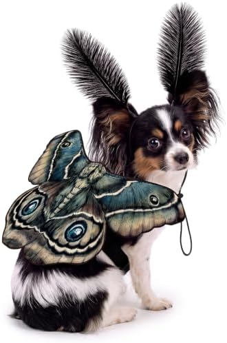 Tallew 2 Pcs Dog Costumes Moth Wings and Feather Headband,S,Tan by Tallew