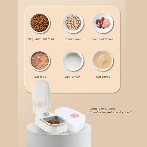 Automatic Pet Feeder, Automatic Timed Cat Food Dispenser, Multifunction Detachable Intelligent Single Meal Timed Cat Food Dispenser for Cats and Dogs (Pink)