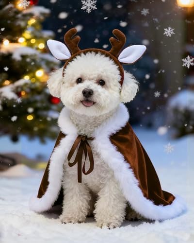 CuteBone Christmas Dog Costumes for Small, Medium, Large Dogs – Reindeer Pet Cosplay Outfits | Cute Puppy Costume for Holiday Party, Dress-Up, Photo Shoots GBZ06XL - Image 5