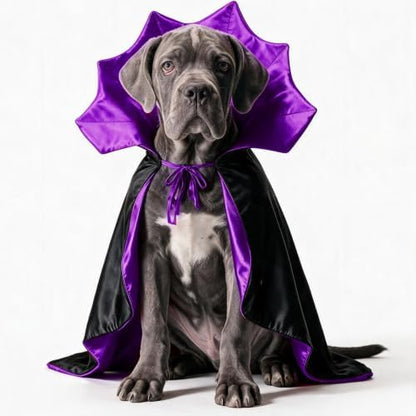 Vampire Cloak Dog Halloween Costumes for Medium Dogs Dog Devil Cape by PWEITUOET