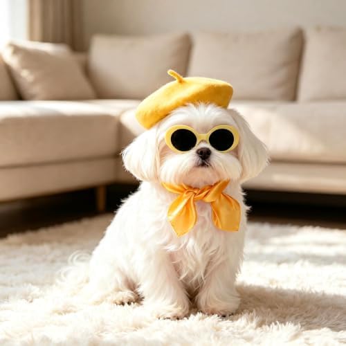 Dog Beret Scarf Glasses Pet French Beanie for Small Dogs(Yellow, Small) - Image 6