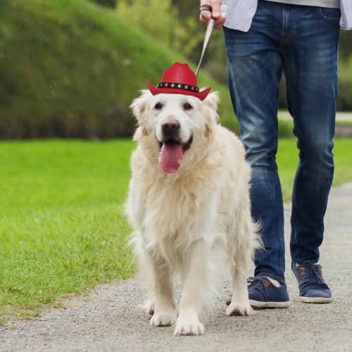 choyaxo Pet Cowboy Costume Cosplay Cap Halloween Costumes for Dogs Cat Pet Party Decoration Mini Cowboy Hat (Red, Small) - Image 5