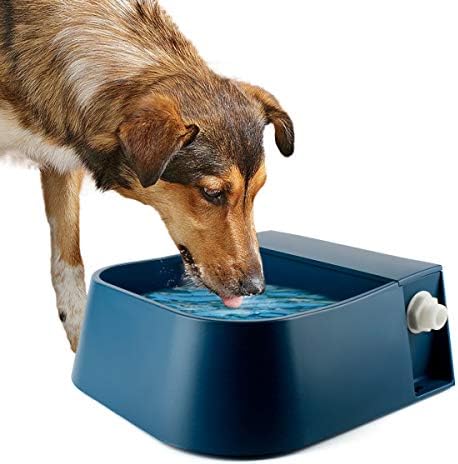LESYPET Automatic Water Dispenser for Dogs, 68 oz Outdoor Dog Drinking Water Bowl for Chicken Livestock, Auto Filling Waterer for Pets & Livestock