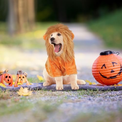 DELIFUR Dog Halloween Lion Costume - Adorable Pet Dress Up Clothes Animal Warmth Cosplay Holiday Coat for Medium and Large Dog Funny Outfit Comfort (Orange Lion, X-Large) - Image 5
