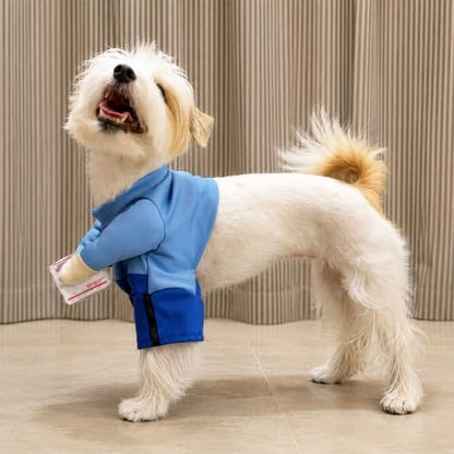 Postman Blue Pet Halloween Costume, Plush Parcel and Postman Hat - Small to Medium-Large Breed Funny Clothes Outfit Apparel (Small) - Image 3