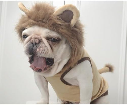 Lion Pet Costume for French Bulldog, Funny Lion Outfit, Dog & Cat Party Clothes, Halloween Cosplay (M, Lion) - Image 3
