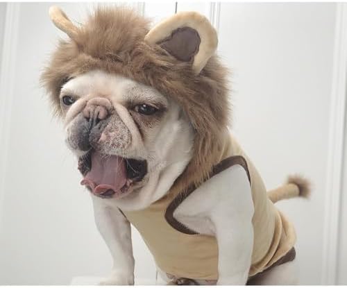 Lion Pet Costume for French Bulldog, Funny Lion Outfit, Dog & Cat Party Clothes, Halloween Cosplay (S, Lion) - Image 3
