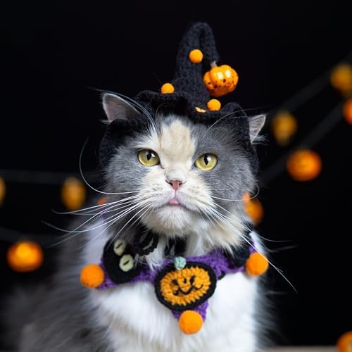 Halloween Dog Costume - Black Witch Hat & Halloween Outfit for Cats and Small Sized Dogs,Handmade Festive Halloween Pet Apparel with Pumpkin Design for Party & Photos - Image 5