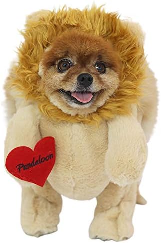 Pandaloon Dog Halloween Costume - As Seen on Shark Tank - Patented - Funny Costume with Arms for Small and Medium Dogs and Cats (Lion, Size 2(15-16 in Height at TOP of Head,Girth<16 in)) by Pandaloon