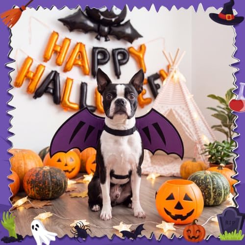 Dog Dragon Wings, Halloween Dragon Costume for Dog Cat, Purple, M - Image 6