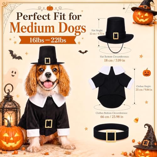 Hillban Dog Thanksgiving Pilgrim Costume, Dog Pilgrim Hat Collar Costume - Image 2