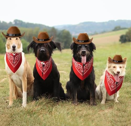 Dog Halloween Costumes - Cowboy Hat & Bandana for Small to Large Dogs - Image 7