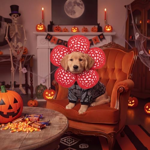 Huhumy 2 Pcs Halloween Carnivorous Flower Pet Costumes, M - Image 2