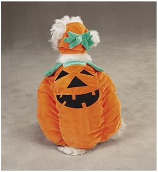 Zack & Zoey Pumpkin Pooch Costume, Medium Orange - Image 2
