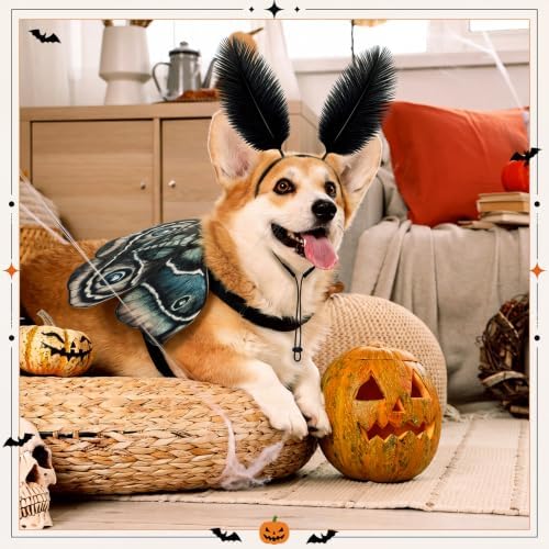 Tallew 2 Pcs Dog Costumes Moth Wings and Feather Headband,S,Tan - Image 3