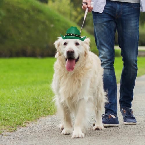 choyaxo Pet Cowboy Costume Cosplay Cap Halloween Costumes for Dogs Cat Pet Party Decoration Mini Cowboy Hat (Green, Small) - Image 5