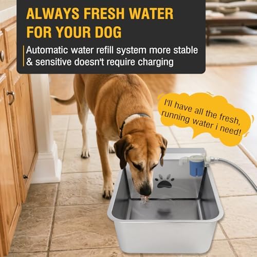 5Gal/20L Automatic Dog Water Dispenser, 78.7" Hose Stainless Steel Bowl