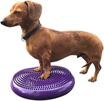 Dog Balance Disc Cushion 14" - With 2 Exercises and Pump - Dog rehab Exercise Strength Endurance Conditioning Fitness Flexibility Rehabilitation Physical Training Tool for Senior Dogs