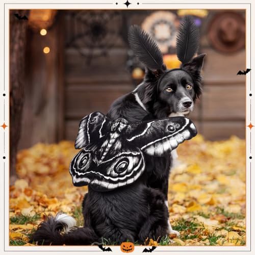 Tallew 2 Pcs Dog Halloween Costumes Moth Butterfly Wings,M,Black,White - Image 6