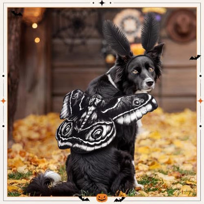 Tallew 2 Pcs Dog Halloween Costumes Moth Butterfly Wings,M,Black,White - Image 6