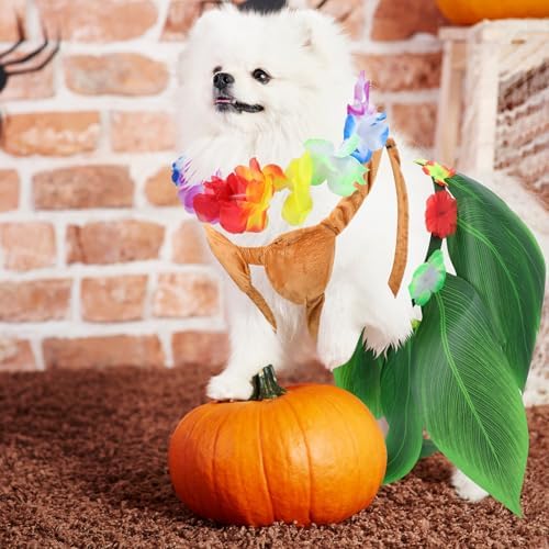 Huhumy 3 Pcs Halloween Dog Hawaiian Luau Costume for Small Medium Dog Puppy - Image 4