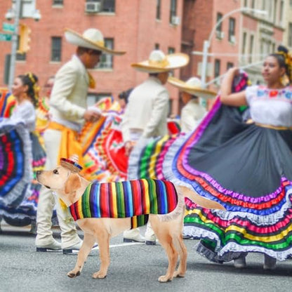 SCENEREAL Mexican Serape Dog Halloween Costume, Dog Hat Bandana Poncho Set - Image 7