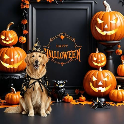 Dog Witch Costume, Large Dog Halloween Costumes - Image 4