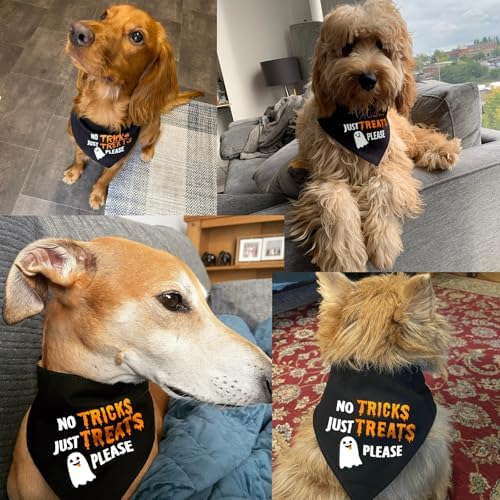 Halloween Dog Bandanas with No Tricks Just Treats Sign, 7-30lbs Pet - Image 5