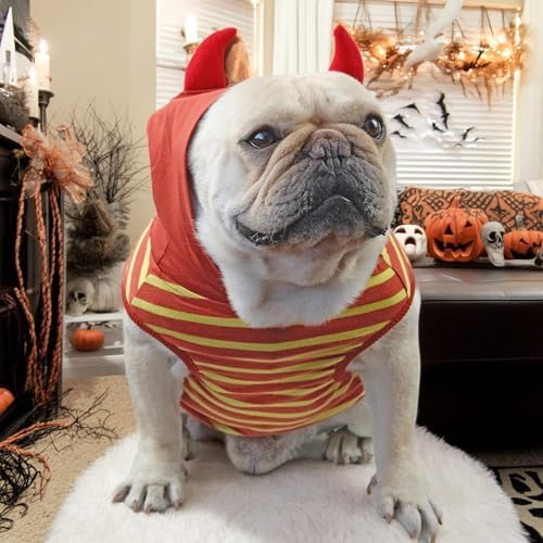 Dog Halloween Costumes Frenchie Clothes Funny Dog Costume - Image 2