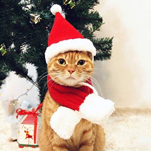 Cat Santa Hat with Scarf, Christmas Hats for Cats Small Dog Santa Hat Christmas Costume for Cat Rabbit Puppy Doll Decoration, Red S by PETLESO