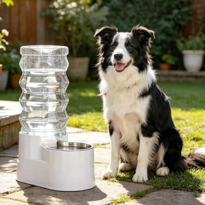 RIZZARI 9L Elevated Dog Water Dispenser: Large Capacity Wide Mouth