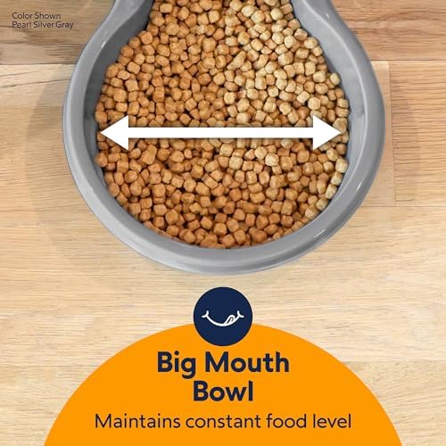 Petmate Replendish Automatic Dog Feeder, Microban Protection, 10lbs