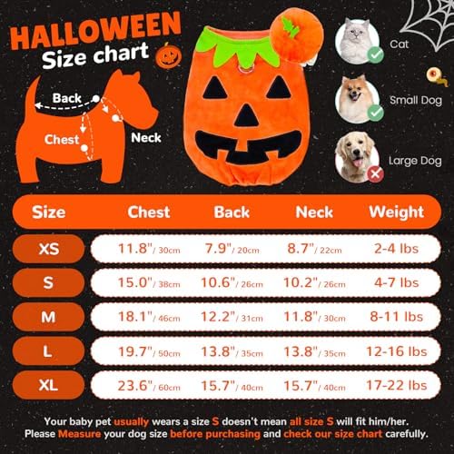 ABRRLO Funny Dog Pumpkin Costume Small Dog Cat Halloween Costumes Boy Girl Cute Halloween Dogs Shirt with Leash Ring Pumpkin Hat Puppy Cosplay Outfits Pet Party Clothes Apparel Yorkie Chihuahua(L) - Image 4